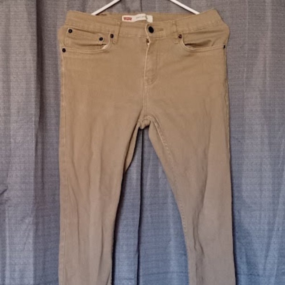 Levi's Men's 29x29 510 Skinny Chino Taper Fit